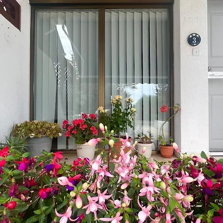 My Little Patio